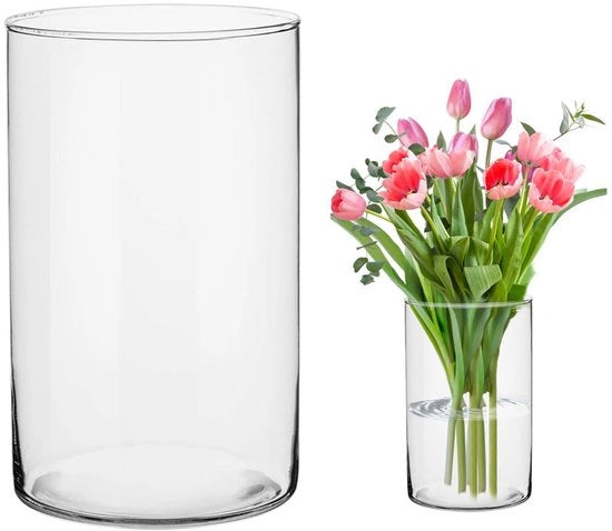 Vaas in vetro grande 25cm alta, cilindro vetrato rondo per fiori, grande decorativo vaso per pampas, tulipani e rose, Ø12cm