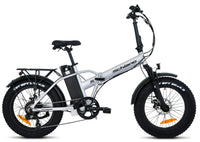 F.LLI SCHIANO fat pieghevole 20" acciaio forcella ammortizzata  10.4 ah LCD Silver