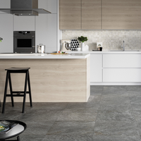 Piastrella gres porcellanato rettificata quarz antracite r10 30x60 cm *** misura 27 m2, confezione 1