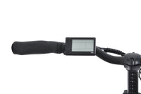 F.LLI SCHIANO fat pieghevole 20" acciaio forcella ammortizzata  10.4 ah LCD Silver