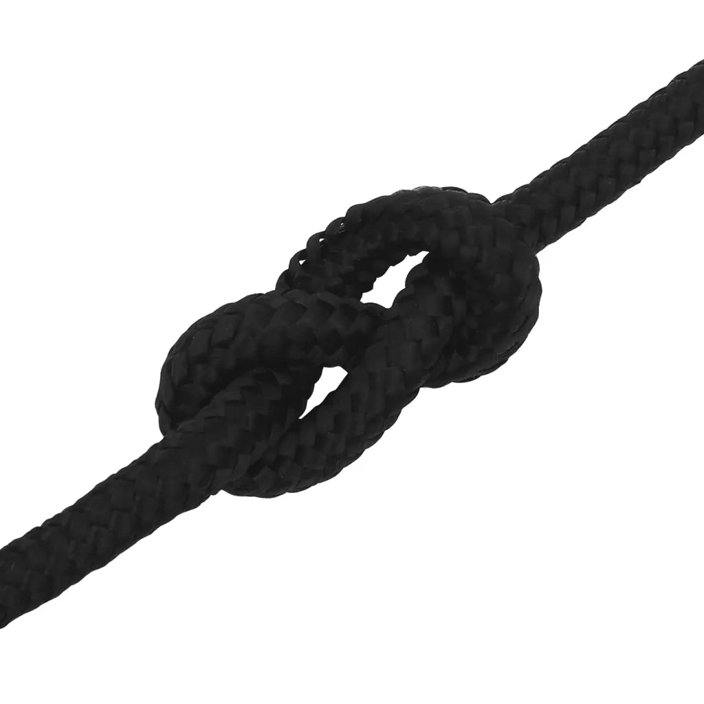 Corda da Lavoro Nera 12 mm 50 m in Poliestere 152827