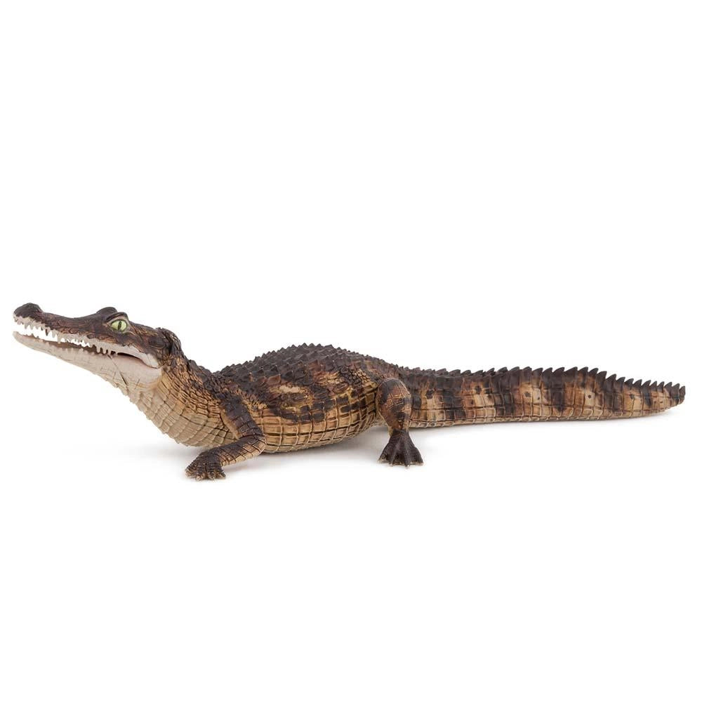 Papo - Cayman
