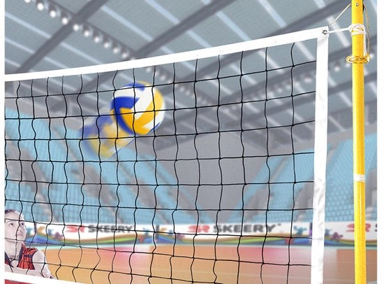 Rete da pallavolo professionale con tas di stoccaggio - Rete da pallavolo standard da 9x1 metro per allenamento, spiaggia, piscina, cortile scolastico, giardino e sport