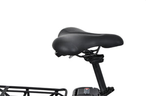 F.LLI SCHIANO fat pieghevole 20" acciaio forcella ammortizzata  10.4 ah LCD Silver