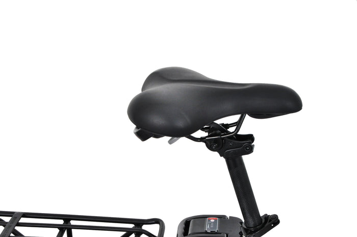 F.LLI SCHIANO fat pieghevole 20" acciaio forcella ammortizzata  10.4 ah LCD Silver