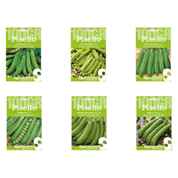 SEMI PER FAVE pisello utrillo - gr 100  - SGARAVATTI