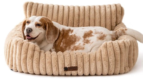 Letto per Gatti e Cani - Letti per Gatti - Letto per Cani Zitto e soffice, Letto per Gatti piccolo Letto per Cani e Gatti, Letto per Cani rilassante (Kameel, 76x53x30cm)