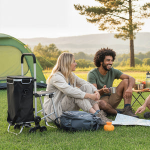 Carrello della Spesa 46x59.5x97 cm con Borsa da 40L Impermeabile e Sedile in Alluminio Nero e Argento