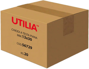 Utilia CHIODO A TESTA PIANA mis. 25x220 mm. 5.00 kg