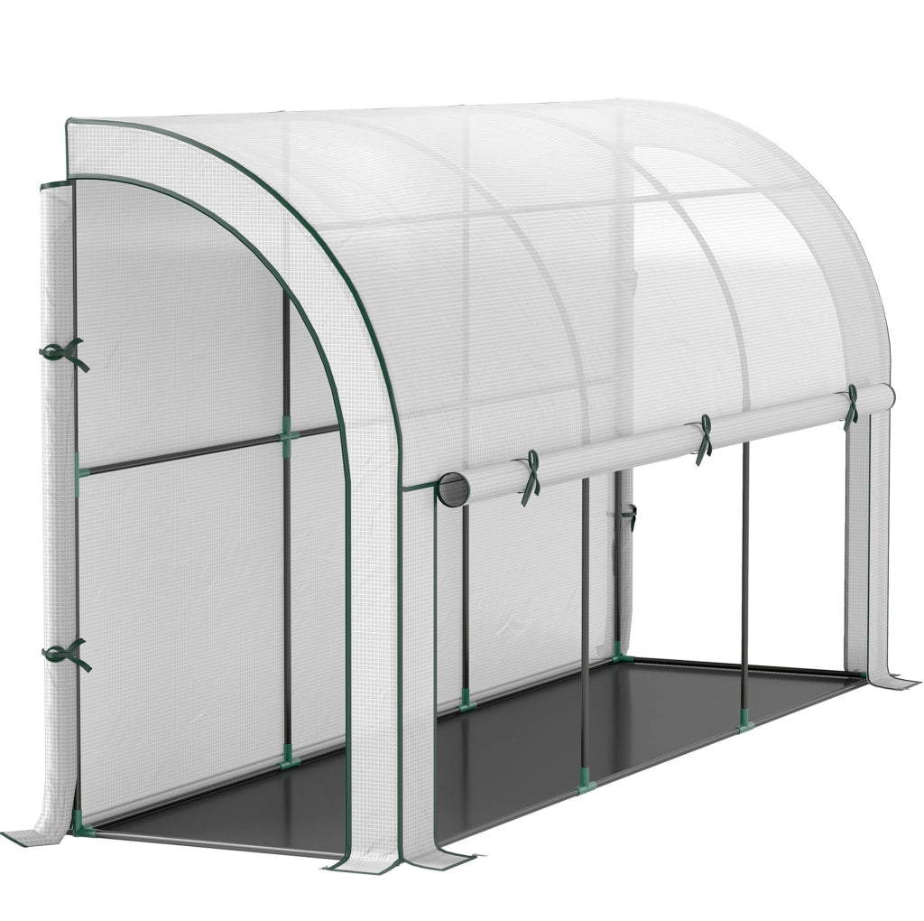 Serra da parete con porta avvolgibile e copertura UV 300 x 80 x 157 cm