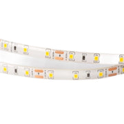 Striscia LED 5m 4,8W/m 6500K 300lm/m 12V IP63 Ecolight