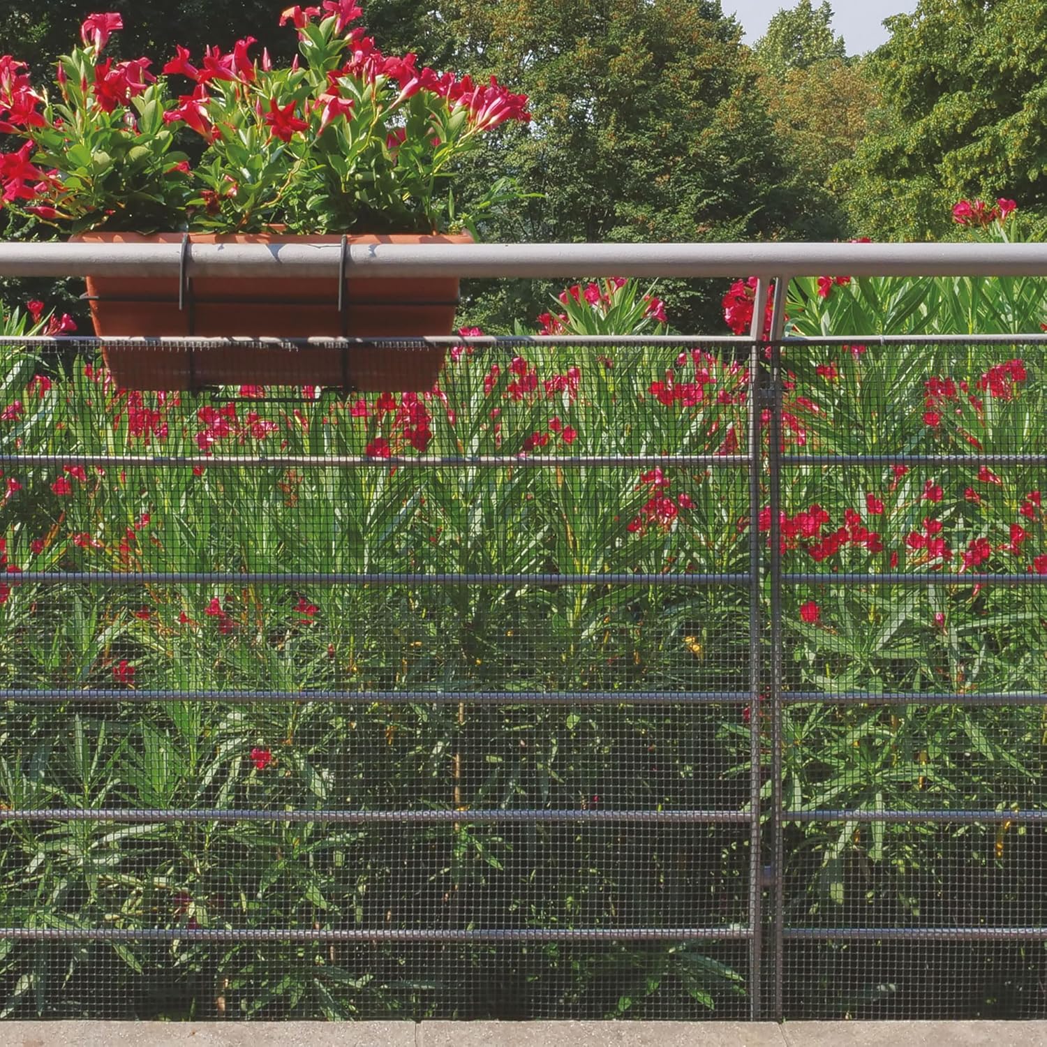 RETE DI PROTEZIONE 'QUADRA'  1,0x50 mt - colore antracite Rete Protettiva in Plastica a Maglia Quadrata per Balconi, Cancelli e Recinzioni