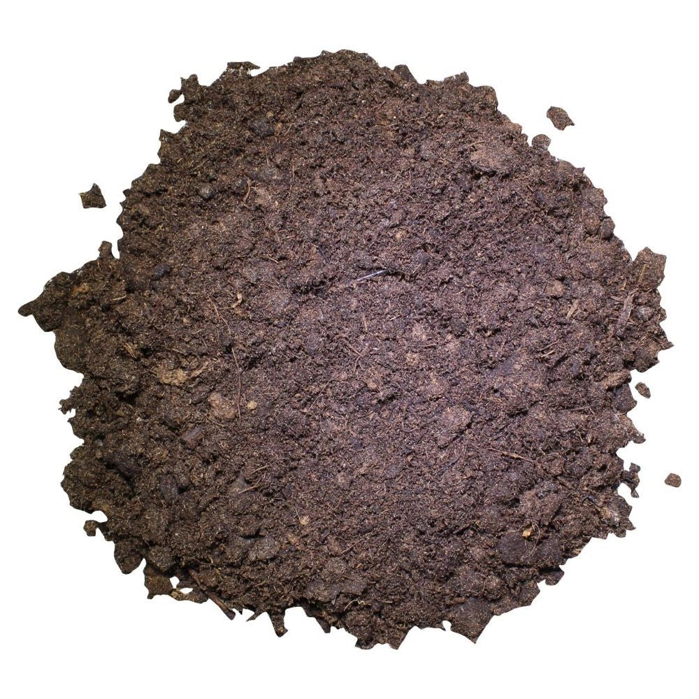 Lucky Reptile Tortoise Bedding 50L - substrato per tartarughe di terra