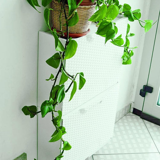 SCARPIERA MODULARE RATTAN in plastica BIANCO CM 51X17,3 H.CM 40,1 agganciabile, componibile e incastrabile