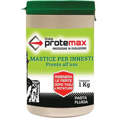 MASTICE X INNESTO PROTEMAX - GR 1000- 3 pezzi