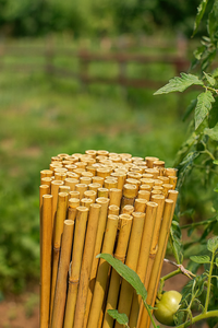 Canne di bamboo per tutori piante Ø 20/22 mm altezza 150 cm Confezione da 50 pezzi T-Rex