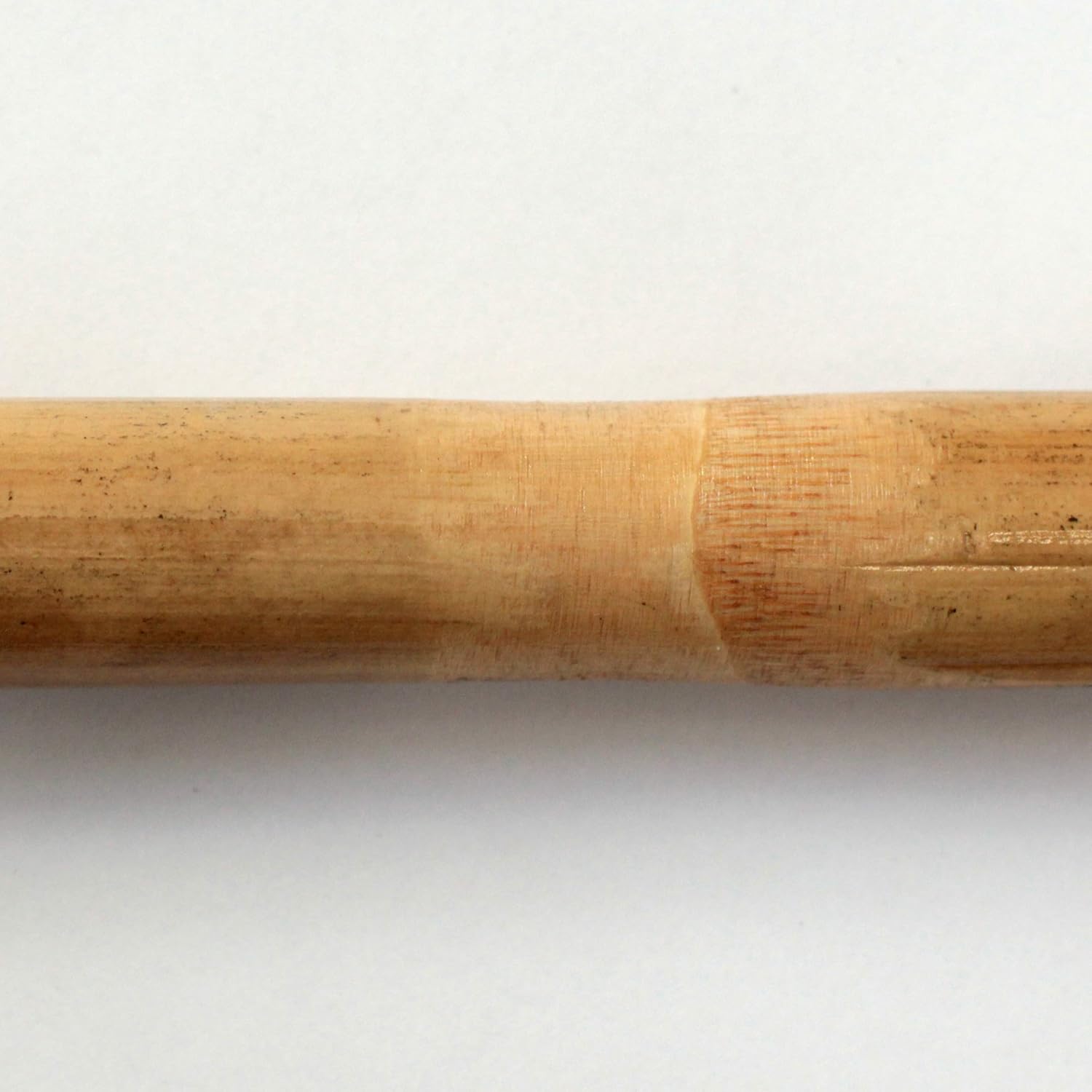 Canne di bamboo per tutori piante Ø 20/22 mm altezza 150 cm Confezione da 50 pezzi T-Rex