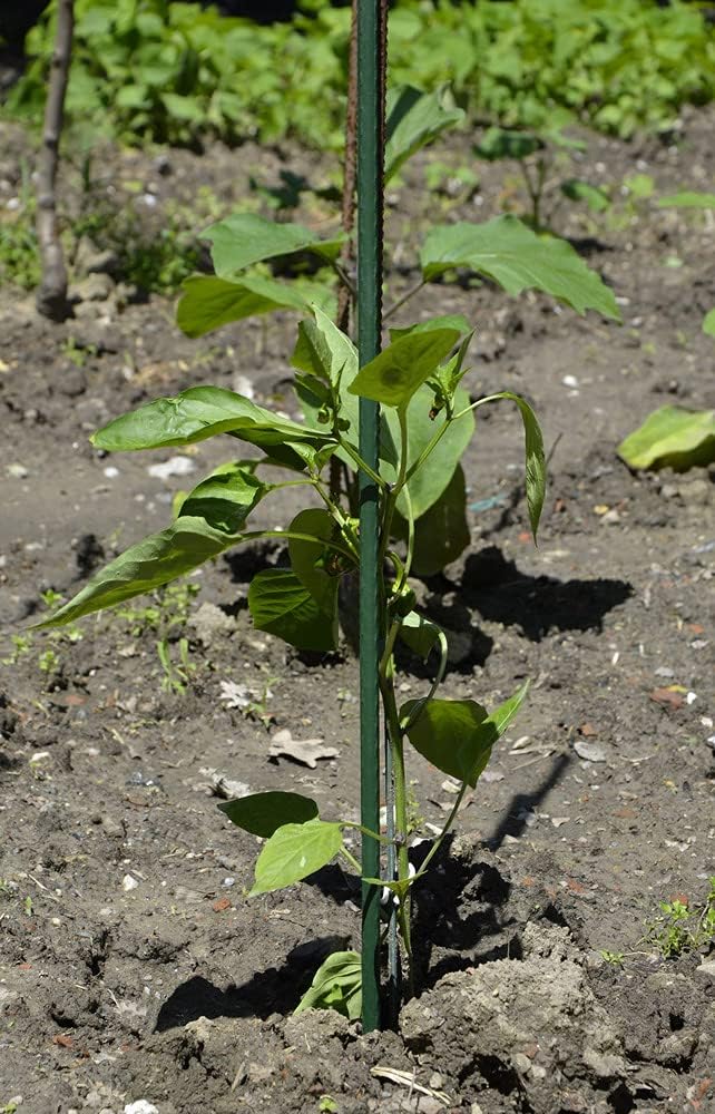 Cannette tutori in metallo plasticato Ø 16 mm h 2,1 m – Confezione da 25 pezzi – LIF