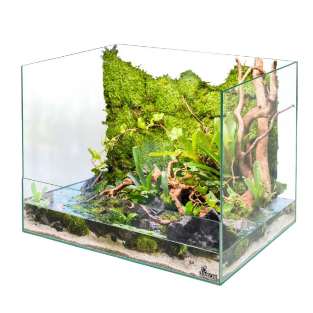 Diversa Paludario 40x30x10/30 - in vetro extrachiaro