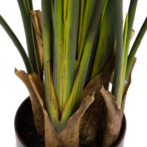 Pianta Artificiale Sterlizia con Vaso Composta da 20 Diramazioni Real Touch H 180 cm