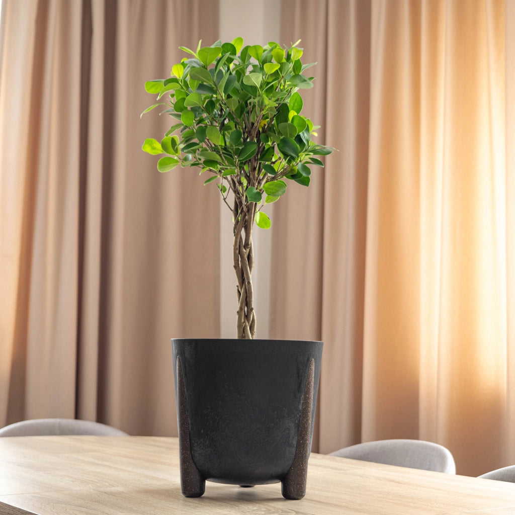 Vaso da fiori KADAX, coprivaso, fiori su gambe, con inserto, supporto per fiori, nero, 21 cm
