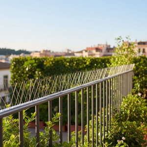 Dissuasore volatili punte acciaio inox per esterni 3 pezzi da 33 cm