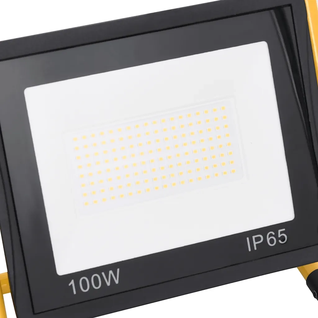 Faretto a LED con Maniglia 100 W Bianco Freddo CFW2041920