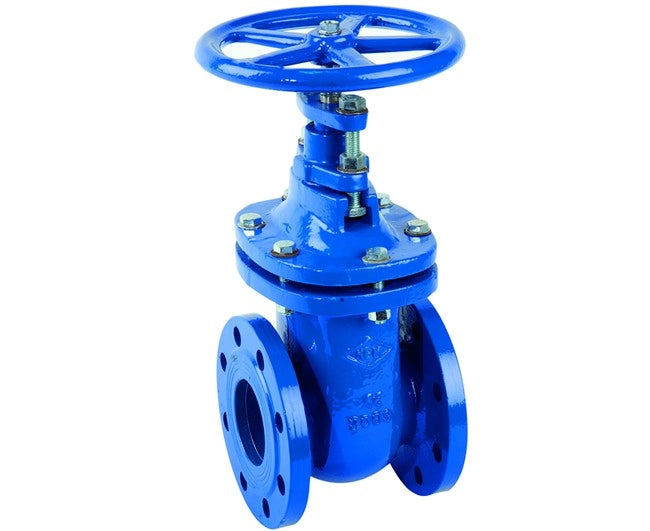 SARACINESCA IN GHISA CORPO PIATTO PN16 DN65