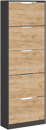 Scarpiera da ingresso Luca, Antracite/quercia dorata, 22 x 169 cm con 5 scomparti