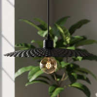 Lampada APP1289-1CP Black