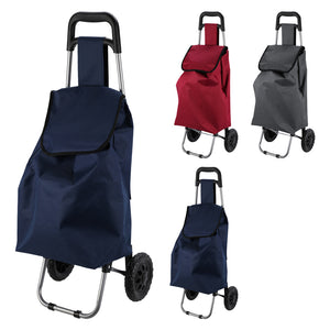 TROLLEY PORTASPESA Lt. 33 - cm 35 x 28 x h.92  - Senza Marca