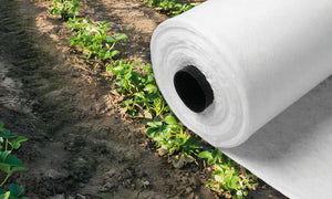 TELO DI PROTEZIONE ANTIGELO A ROTOLO  IN TNT mt. 2x250