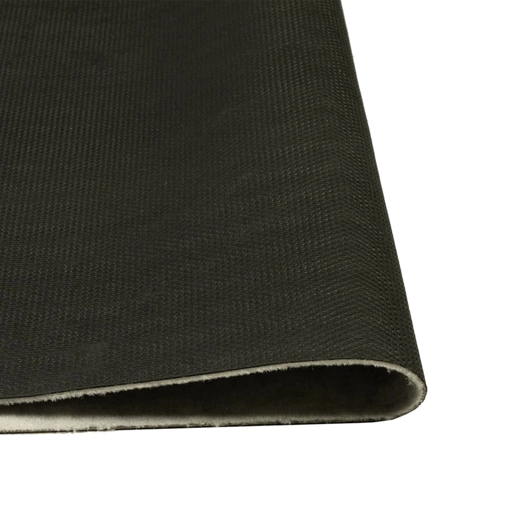 Tappetino da cucina lavabile con stampa peperoncino 180 x 60 cm antiscivolo morbido elegante velluto rosso 02_0056463