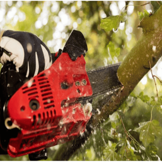 MOTOSEGA DA POTA A SCOPPIO IDEAL STAR 25C lama 25 cm - IDEAL STAR