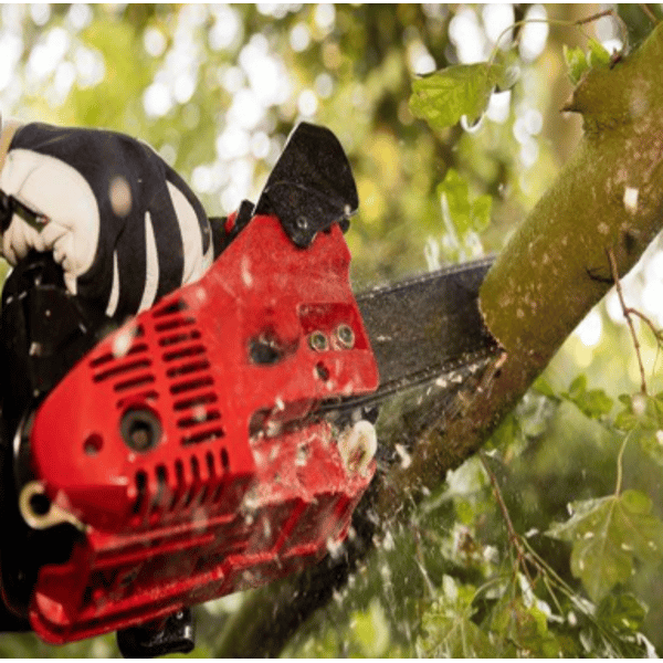 MOTOSEGA DA POTA A SCOPPIO IDEAL STAR 25C lama 25 cm - IDEAL STAR