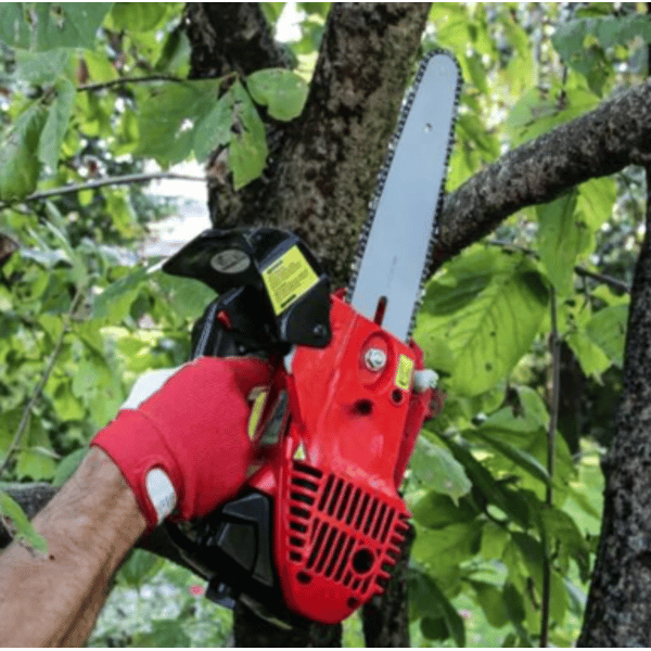 MOTOSEGA DA POTA A SCOPPIO IDEAL STAR 25C lama 25 cm - IDEAL STAR