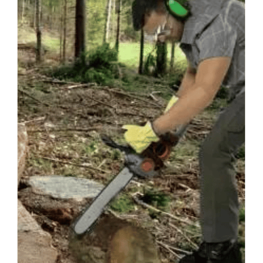 MOTOSEGA A SCOPPIO IDEAL STAR 40 lama 40 cm - IDEAL STAR