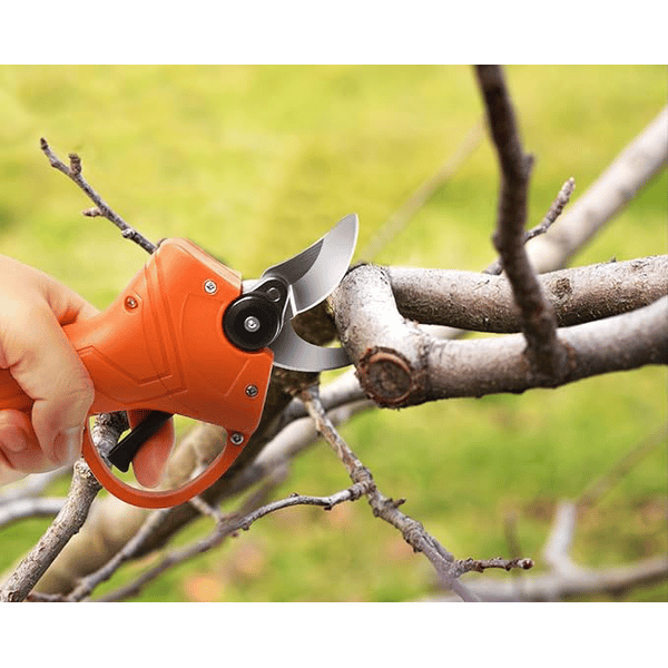 FORBICI DA POTA A BATTERIA C25 IDEAL STAR apertura 25 mm - IDEAL STAR