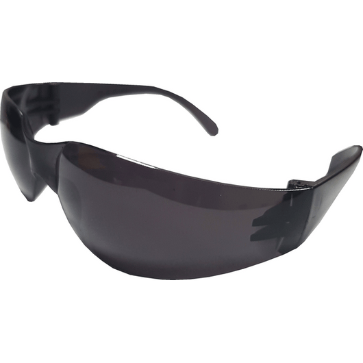 OCCHIALI DI PROTEZIONE IDEAL STAR '301' lente grigia - IDEAL STAR