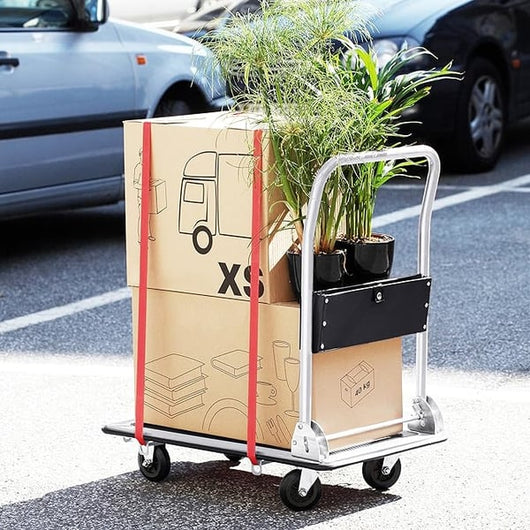 CARRELLO PORTATUTTO A PIATTAFORMA Portata 100 kg - CARDINALE