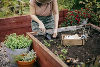 TRAPIANTATORE LAMA LARGA SOLID- - mm.80x280 (1071899) - 2 pezzi FISKARS