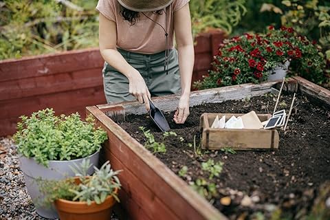 TRAPIANTATORE LAMA LARGA SOLID- - mm.80x280 (1071899) - 2 pezzi FISKARS