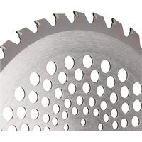 DISCO PER DECESPUGLIATORE PROFESSIONALE 'TUNGSTENO' IDEAL STAR Ø mm 255x25.4 - 40 denti - IDEAL STAR