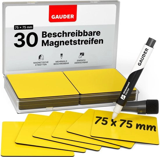 Etichette magnetiche descrittrici - Tavole magnetiche riutilizzabili per lavagne bianche, lavagne scolastiche, tavole Kanban e frigoriferi - Carte magnetiche con pennarelli (30 pezzi - 75 x 75 mm)
