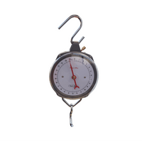 BILANCIA A STRAPPO IDEAL STAR 25 kg/100 g - IDEAL STAR