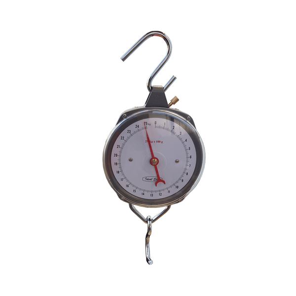 BILANCIA A STRAPPO IDEAL STAR 25 kg/100 g - IDEAL STAR