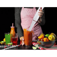 MIXER A IMMERSIONE IDEAL STAR 200 Watt - IDEAL STAR