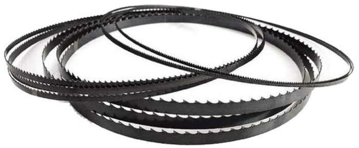 Femi LAMA PER SEGATRICE A NASTRO VERTICALE ''VB 28-186'' mm. 10x1790x0,35 dentatura Z6