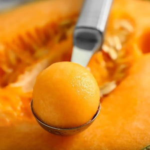 SCAVINO PER GELATO IDEAL STAR - - IDEAL STAR