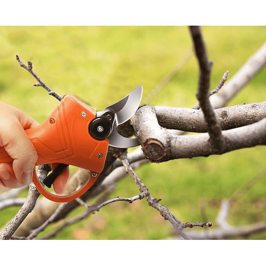 FORBICI DA POTA A BATTERIA C35 IDEAL STAR apertura 35 mm - IDEAL STAR